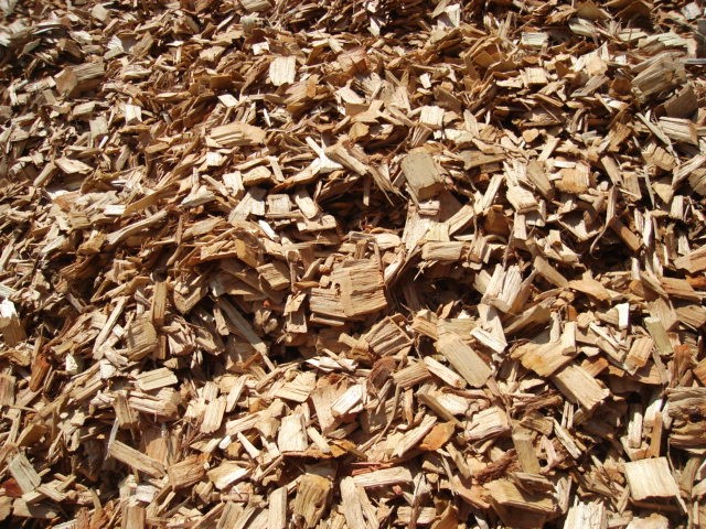 Khách hàng Hàn Quốc cần nhập khẩu dăm gỗ của Việt Nam