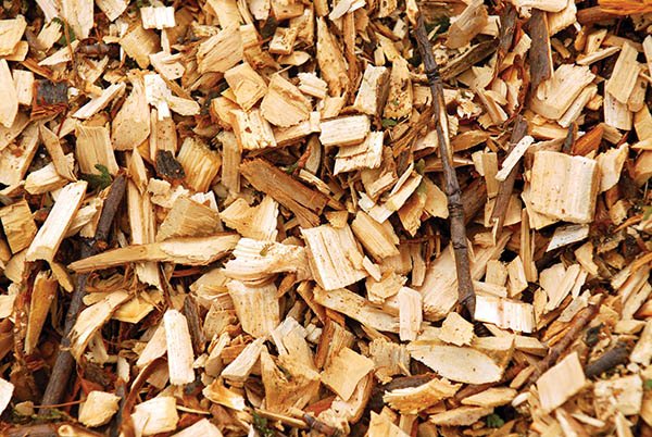 Thương nhân người Hong Kong cần mua 7000 - 9000 tấn gỗ vụn mỗi tháng