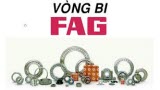Thông số kỹ thuật vòng bi FAG, Catalogue Vòng bi FAG