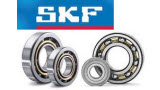 Thông số kỹ thuật vòng bi SKF, Catalogue vòng bi SKF 