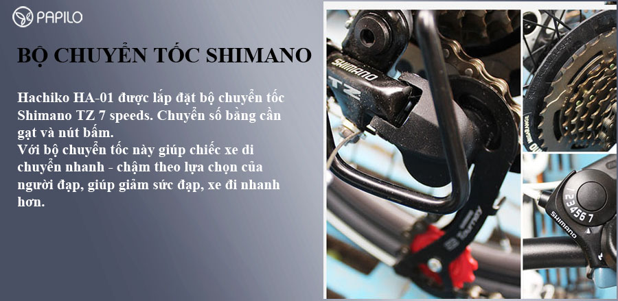 bo de shimano TZ cho Hachiko