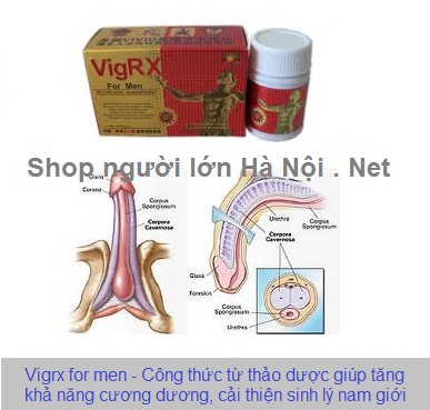 Namshop.vn viên uống trị xuất tinh sớm và tăng cương cứng cho dương vật Namshop.vn viên uống trị xuất tinh sớm và tăng cương cứng cho dương vật
