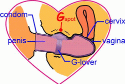 Vòng rung G Love, nhẫn rung điểm G (140k) Vòng rung G Love, nhẫn rung điểm G (140k)