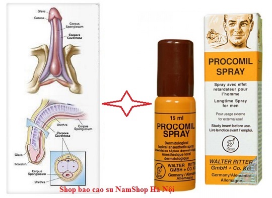 Mua, Bán thuốc trị xuất tinh sớm Procomil Spray tại Bình Định? Mua, Bán thuốc trị xuất tinh sớm Procomil Spray tại Bình Định?