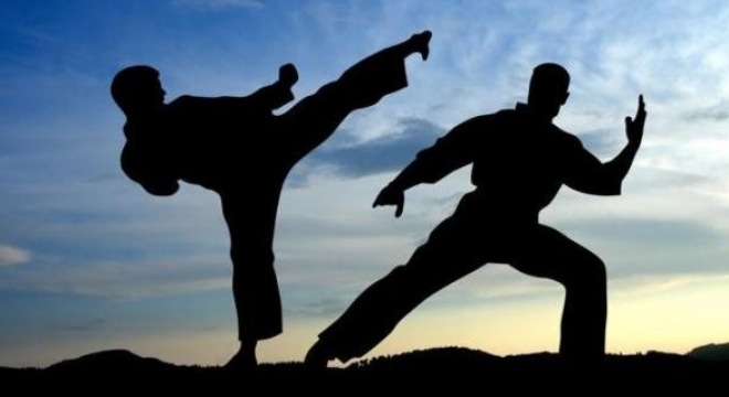 Võ thuật cổ truyền Việt Nam và Vovinam có nên trở thành Vovietnam?