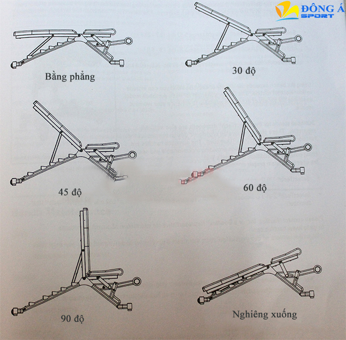 ghế tập tạ dốc điều chỉnh