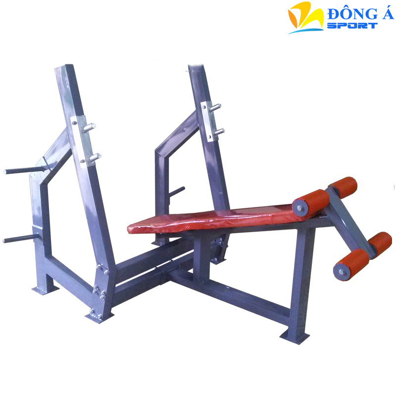 Ghế đẩy tạ dốc dưới phòng tập GYM