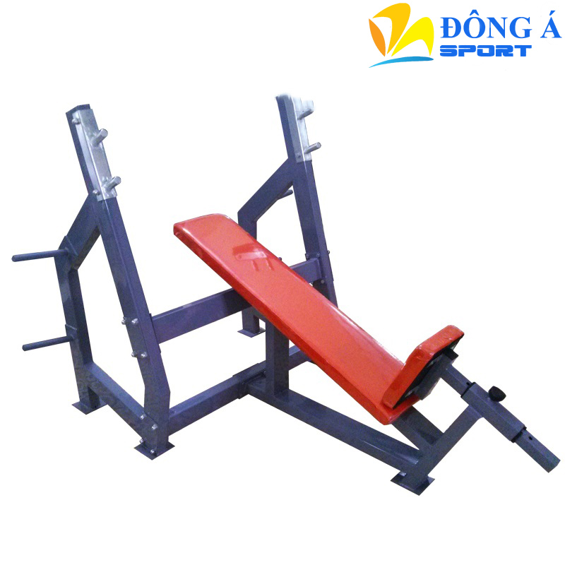 Ghế đẩy tạ dốc trên phòng tâp GYM