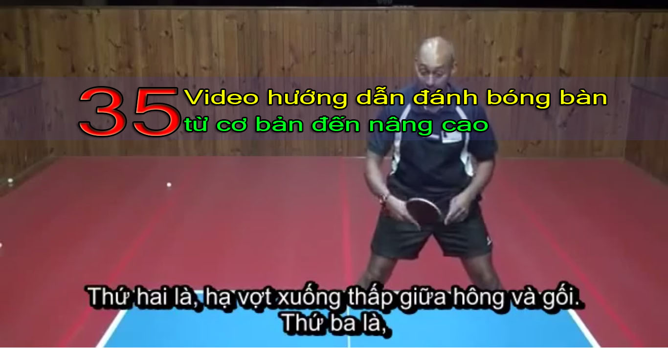 Kỹ thuật đánh bóng bàn