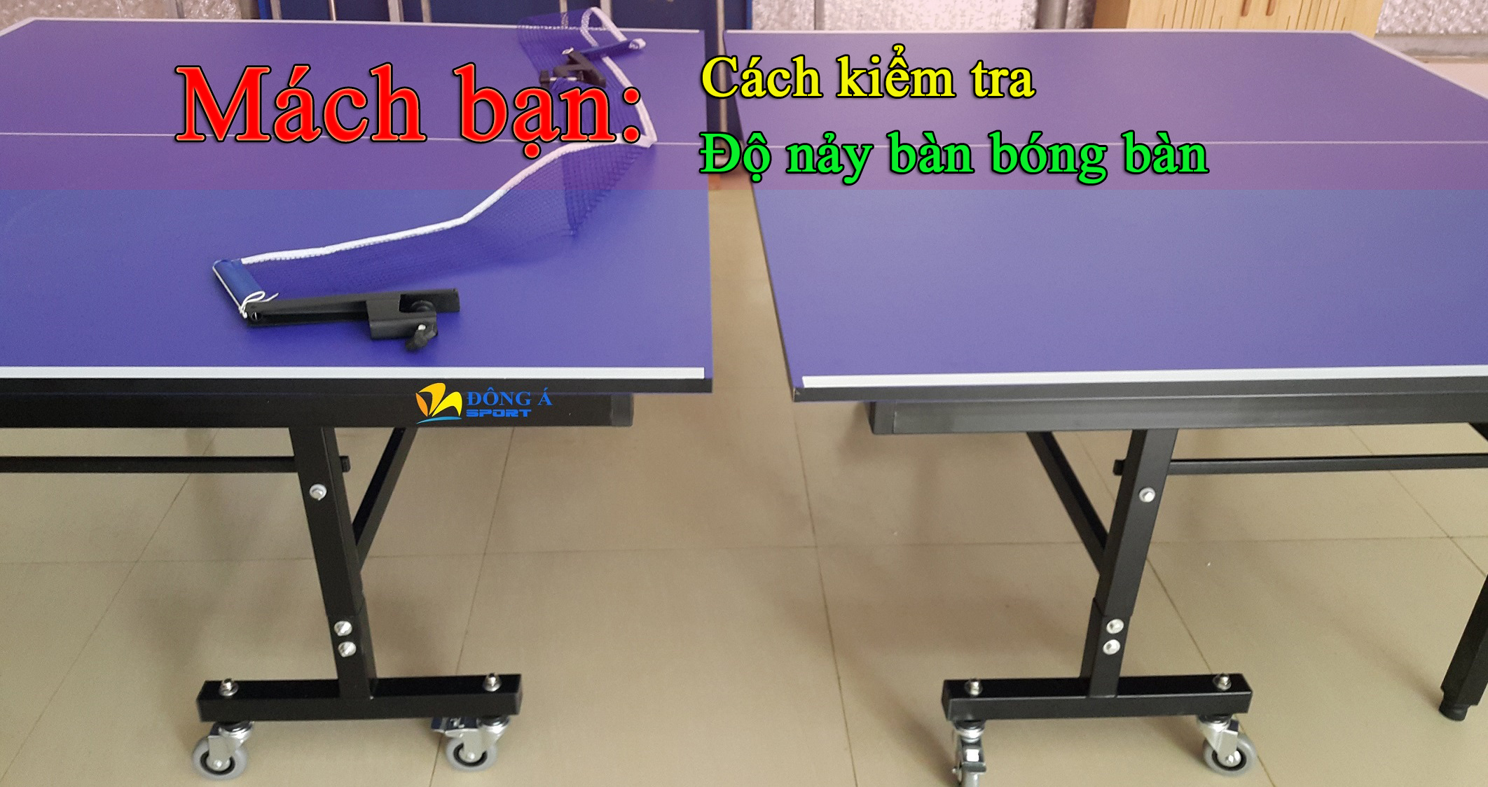 Kiểm tra độ nảy mặt bàn bóng bàn