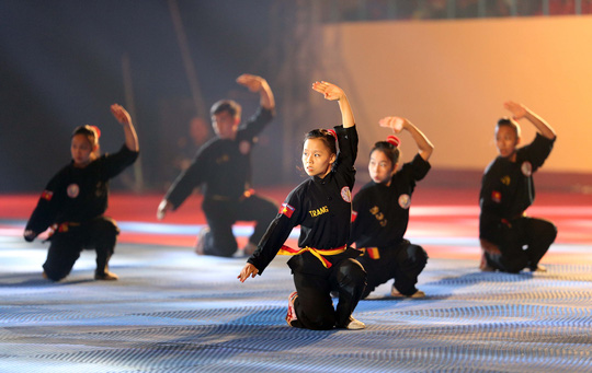 Lịch sử võ cổ truyền Việt Nam