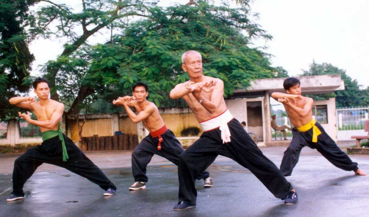 Nguồn gốc võ thuật Việt Nam