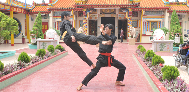 Võ thuật Việt Nam