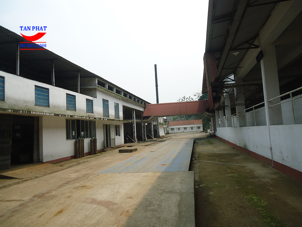 cầu cân ô tô 80 tấn phú thọ