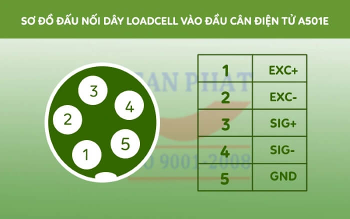 Cách đấu nối dây loadcell vào đầu cân A501E 60kg
