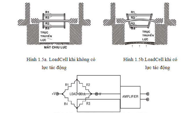 Nguyên lý hoạt động của loadcell trong cân điện tử