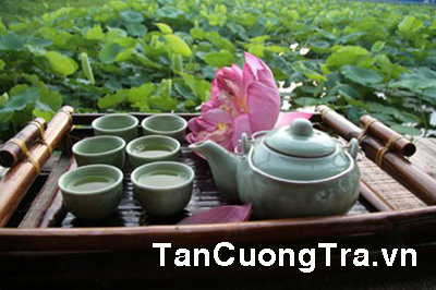 Trà Thái Nguyên: Trà – Nét văn hóa Việt Nam