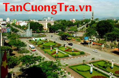 Trà Thái Nguyên: Phát triển chè trở thành cây làm giàu trong tiến trình xây dựng nông thôn mới
