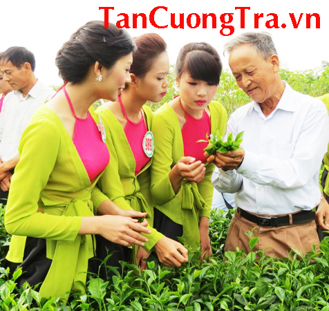 Chè Thái Nguyên: Các thí sinh cuộc thi