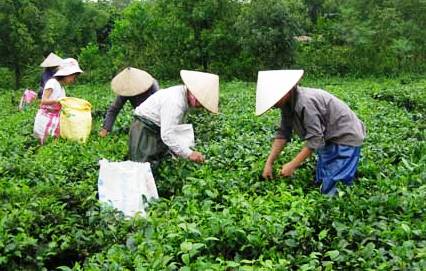 Thái Nguyên - Vùng đất
