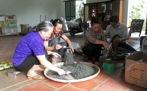 Nét mới ở vùng chè đặc sản Tân Cương
