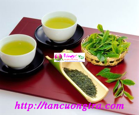 CÁCH NHẬN BIẾT CHÈ TÂN CƯƠNG THÁI NGUYÊN NGON NHẤT?