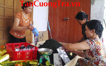 HTX Chè Tân Hương: Sẵn sàng cho Festival trà Thái Nguyên - Việt Nam lần thứ 2
