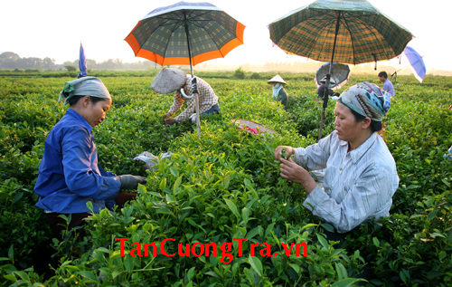 Khyến cáo đối với người kinh doanh và người sử dụng