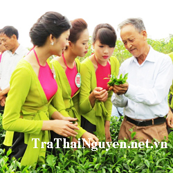 HTX chè Minh Thu mong muốn tuyển Đại lý trà Thái Nguyên tại Cà Mau