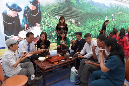 Sản xuất chè an toàn theo tiêu chuẩn VietGAP: Những “nút thắt” cần tháo gỡ