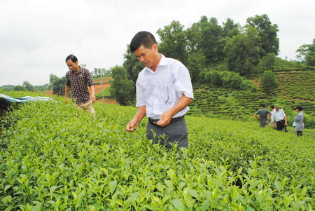 Họp báo cuộc thi người đẹp xứ trà lần thứ 3 năm 2015