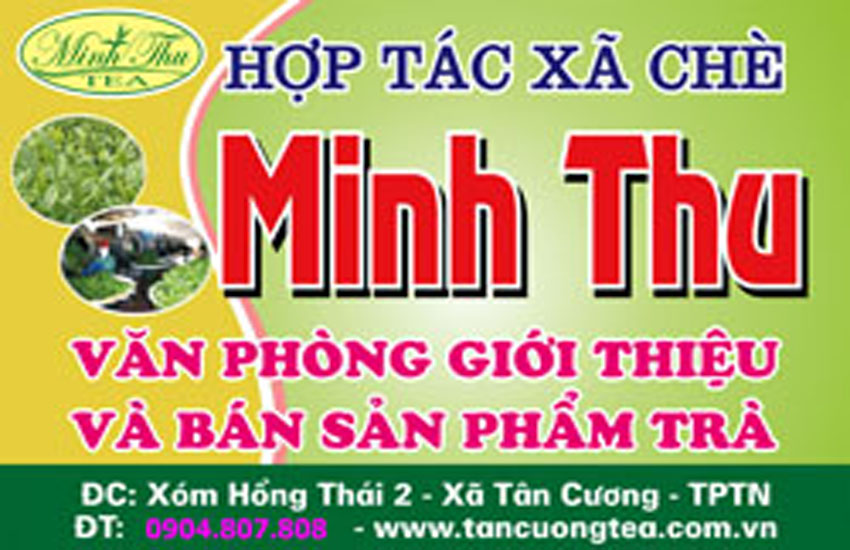 Cần tuyển Đại lý trà Thái Nguyên tại Cần Thơ