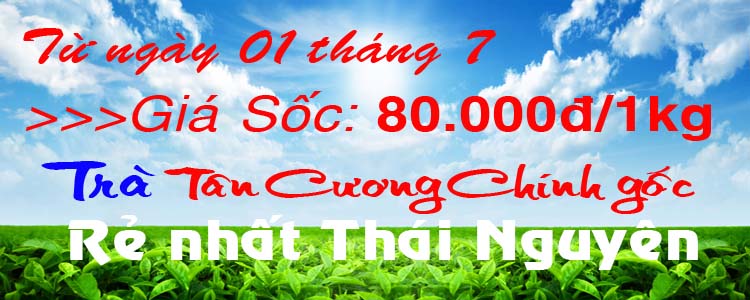 Bạn muốn làm Đại lý trà Thái Nguyên tại địa phương của mình?