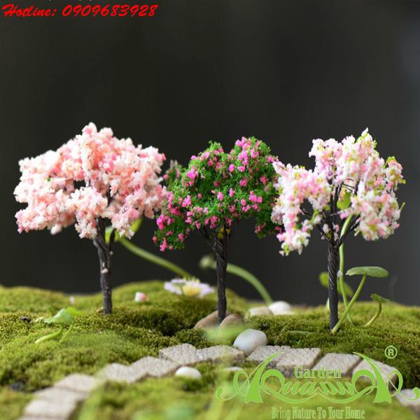 Cây Trang Trí - Phụ Kiện AquaGarden