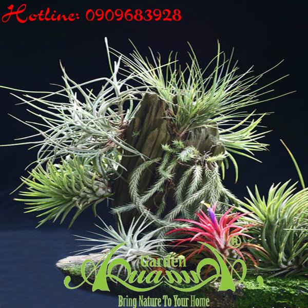 Bộ Không Khí_27