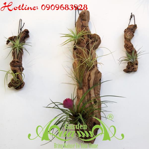 Bộ Không Khí_17