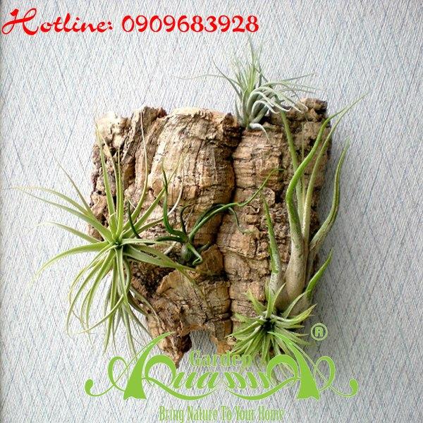 Bộ Không Khí_49