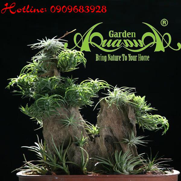 Bộ Không Khí_29