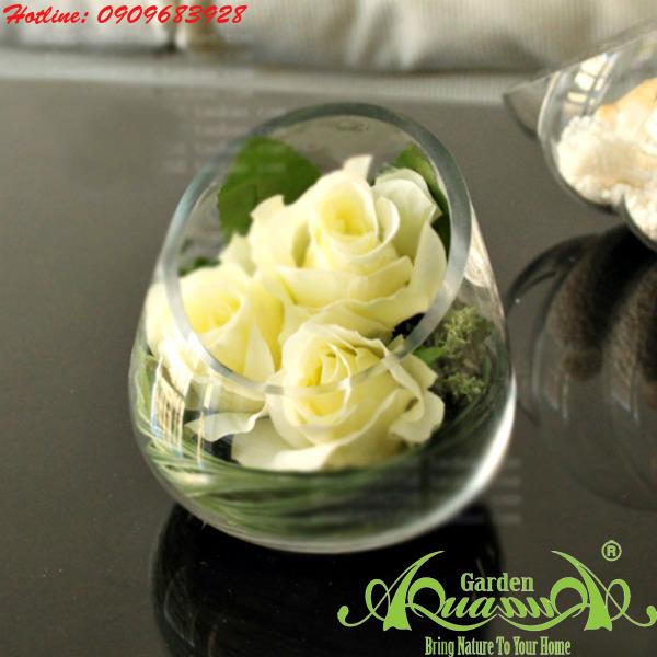 Thủy Tinh AquaGarden_Búp Xéo Tròn