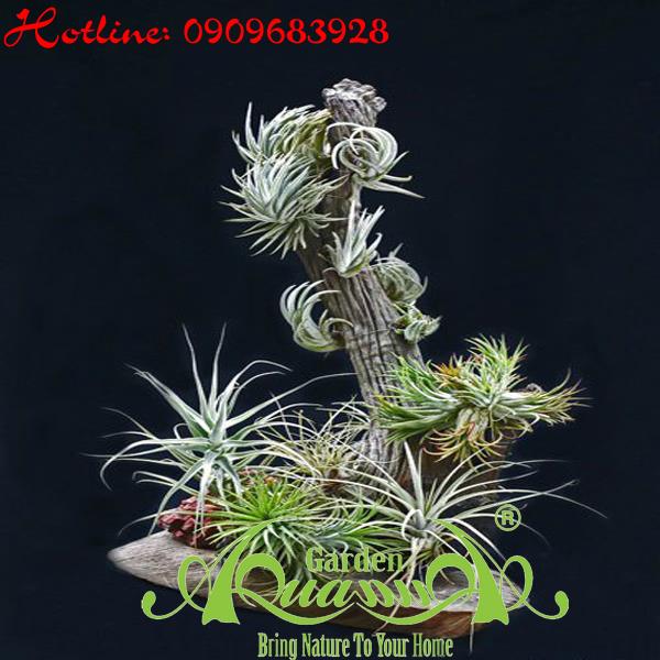 Bộ Không Khí_30