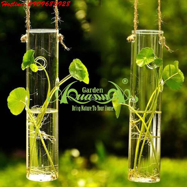 Thủy Tinh Treo AquaGarden_Ống Nghiệm