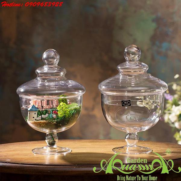 Thủy Tinh AquaGarden_Đĩa Bầu SP 2