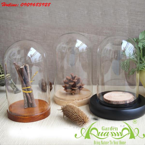 Thủy Tinh AquaGarden_Lọ Có Đế Gỗ 7