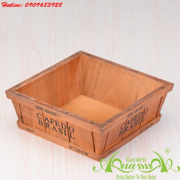 CAFEDO BRASIL Vuông Thấp - Hộp Gỗ AquaGarden