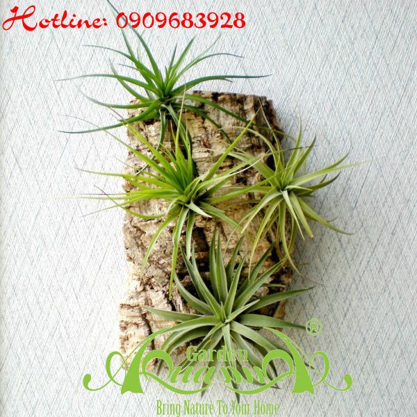 Bộ Không Khí_06