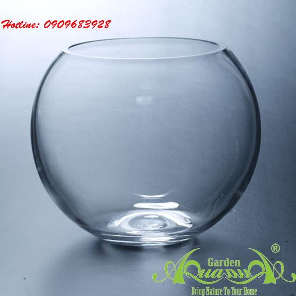 Bầu Cá - Thủy Tinh AquaGarden