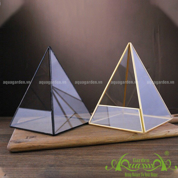 TAM GIÁC - THỦY TINH ĐA GIÁC AQUAGARDEN