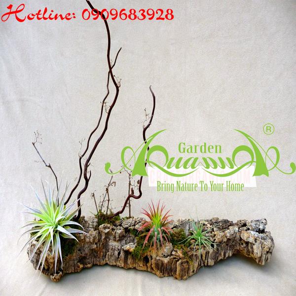 Bộ Không Khí_12