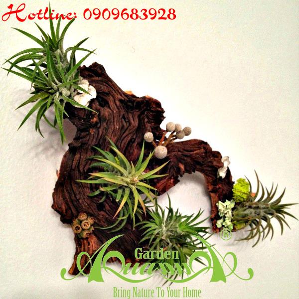 Bộ Không Khí_02