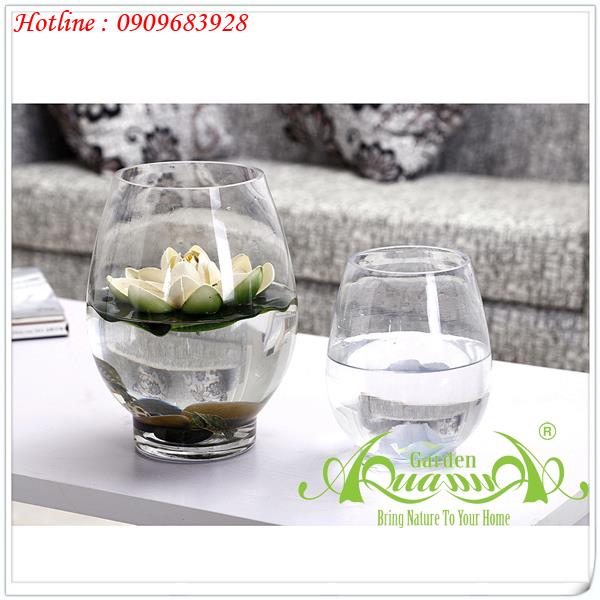 Quả Dưa Đế Dày - Thủy Tinh AquaGarden